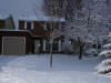 Image:Misc Pictures